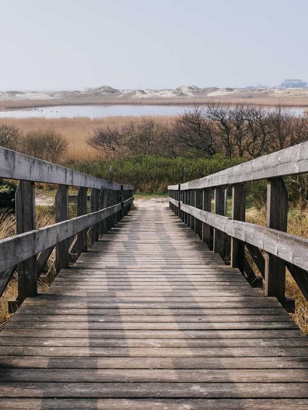 சுயநலமின்மை