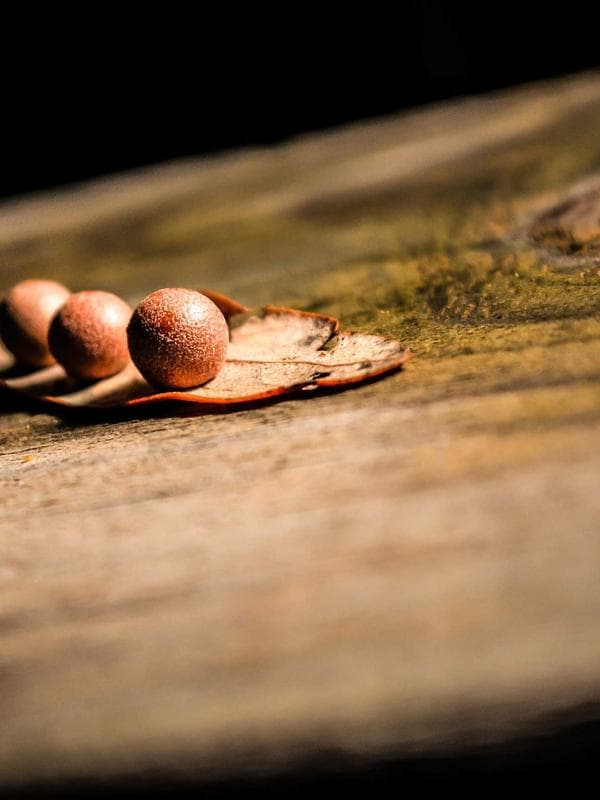 சமத்துவம்